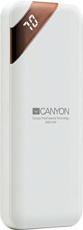Портативное зарядное устройство Canyon CNE-CPBP5W