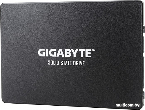 SSD Gigabyte 120GB GP-GSTFS31120GNTD