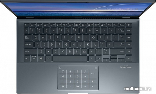 Ноутбук ASUS ZenBook 14 UX435EG-A5054R