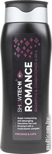 Шампунь Show Tech + Romance 2-in-1 41STP001 (300 мл)