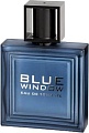 Linn Young Blue Window Men EdT (100 мл)