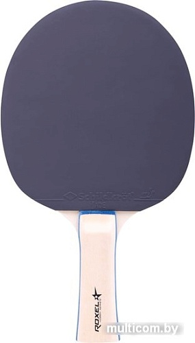 Набор для настольного тенниса Roxel Schildkrot Hobby Progress