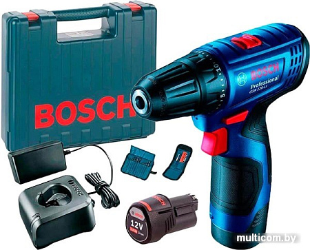 Дрель-шуруповерт Bosch GSR 120-LI Professional 06019G8002 (с 2-мя АКБ, кейс, оснастка)