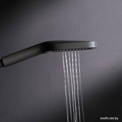 Душевая лейка AM.PM Func F028F022