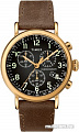 Наручные часы Timex TW2T20900