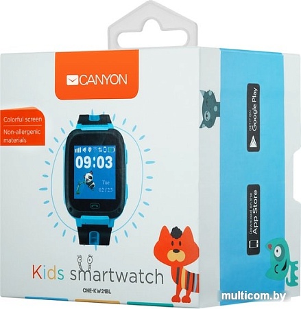 Умные часы Canyon CNE-KW21BL