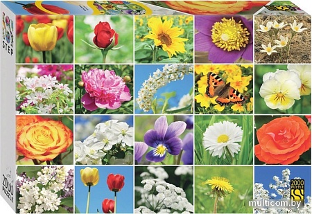 Пазл Step Puzzle Цветы. Коллаж 84052 (2000 эл)