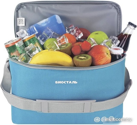 Термосумка BIOSTAL Кантри TCD-B 10л (лазурный)