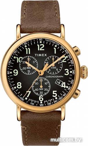 Наручные часы Timex TW2T20900