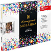 Алмазная мозаика Феникс+ Девушка и леопард 70861