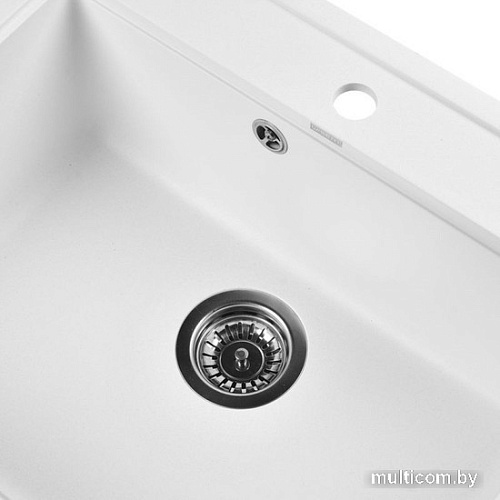 Кухонная мойка Wisent 600-28W (с сифоном GER013)