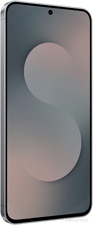 Телефон Samsung Galaxy S25 FE SM-S731B 8GB/128GB (черный)