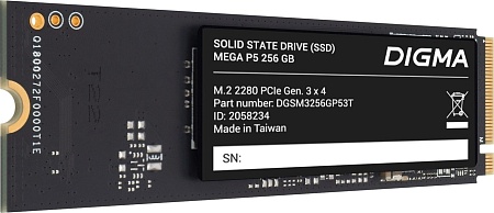 Digma Mega P5 256GB DGSM3256GP53T
