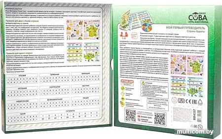 Развивающая игра Bondibon Умная сова. Страны Европы ВВ4337