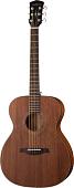 Акустическая гитара Parkwood S22M-NS