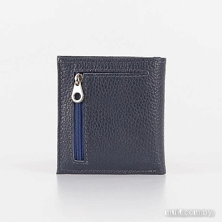 Кошелек Poshete 604-080M-DNC (синий)