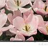 Телевизор BQ 32F34B