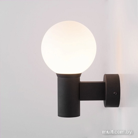 Уличный настенный светильник Elektrostandard Sfera 35126/D (черный)