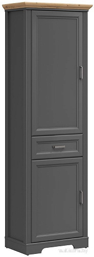 Шкаф распашной BRW Jasmin REG2D1S (графит/дуб артизан)