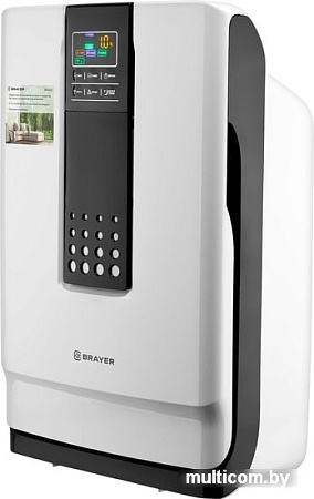 Очиститель воздуха Brayer BR4900