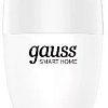 Gauss Smart Home E14 5 Вт 2700-6500K 1190112