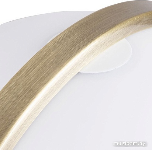 Настольная лампа Arte Lamp Brava A5056LT-1AB