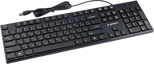 Клавиатура Gembird KB-250