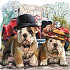 Пазл Нескучные игры Road Trip 8417
