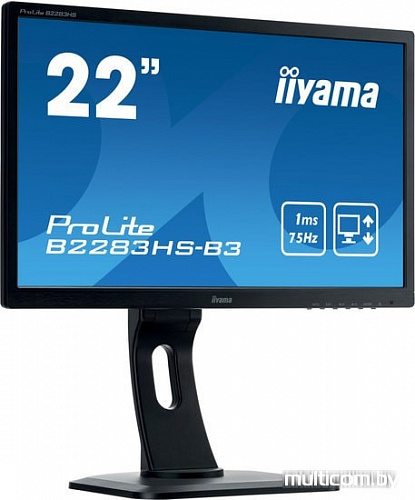 Монитор Iiyama ProLite B2283HS-B3