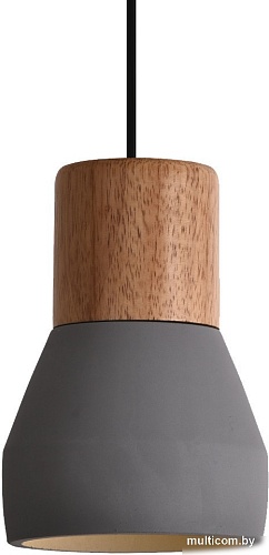 Подвесная люстра TruEnergy 21400