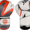 Перчатки для единоборств RSC Sport PU 2t c 3D фактурой (14 oz, белый/серый)