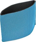 Фильтр-губка Evolution губка для DW30CT