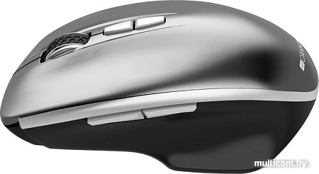 Мышь Canyon MW-21 (графит)