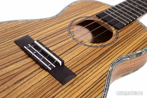 Укулеле Tom TUC-300TN