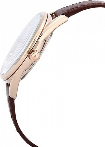 Наручные часы Daniel Klein DK12371-2