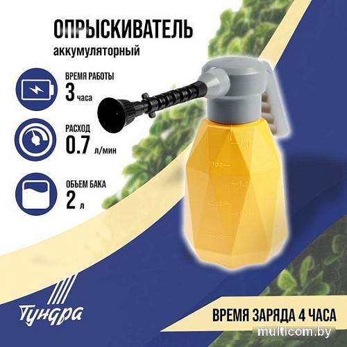 Аккумуляторный опрыскиватель Tundra 9195314