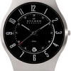 Наручные часы Skagen 233XXLSLB