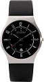 Наручные часы Skagen 233XXLSLB