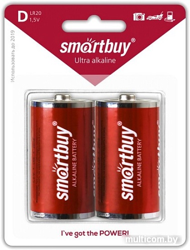 Батарейки SmartBuy D 2 шт. [SBBA-D02B]
