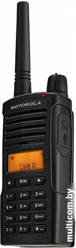 Портативная радиостанция Motorola XT665d