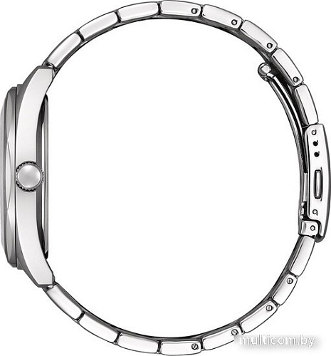 Наручные часы Citizen BI5110-54H