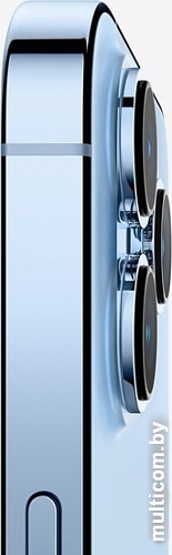 Смартфон Apple iPhone 13 Pro Max 128GB (небесно-голубой)