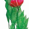 Искусственное растение Barbus Апоногетон Мадагаскарский с цветком Plant 023/50