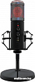 Ritmix RDM-260 USB Eloquence