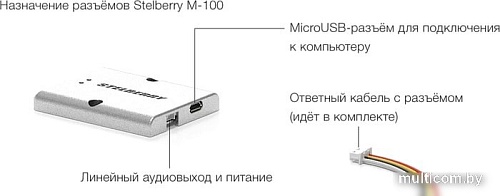 Микрофон Stelberry M-100