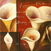 Картина Tennonart Мудрые каллы 60x60 TN3821