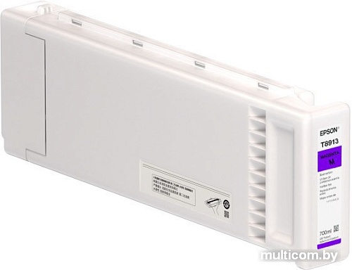 Картридж Epson C13T891300