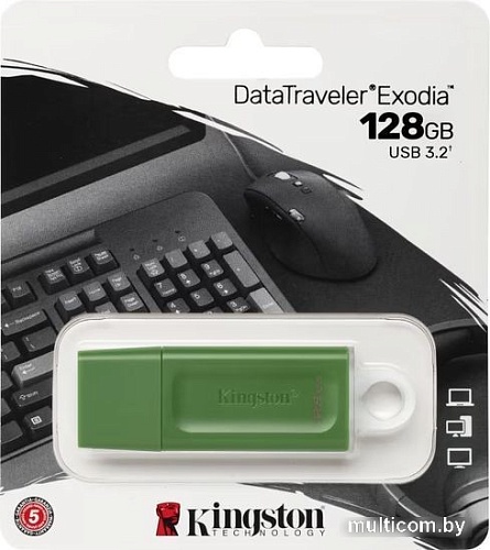 USB Flash Kingston DataTraveler Exodia 128GB (зеленый)