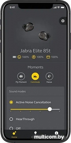 Наушники Jabra Elite 85t (титаново-черный)