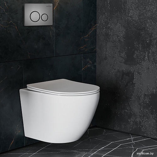 Панель смыва Roxen Steel 420260G